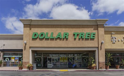Dollar Tree Plunges After Blaming Tariffs For Weak Sales Warrior