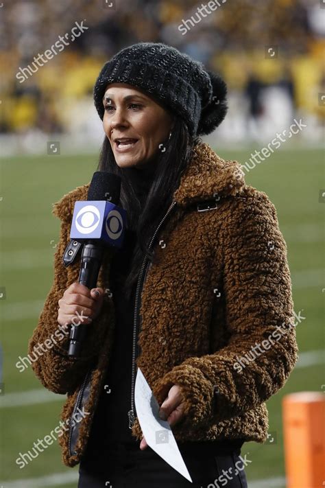 Sideline Reporter Tracy Wolfson During Nfl Editorial Stock Photo