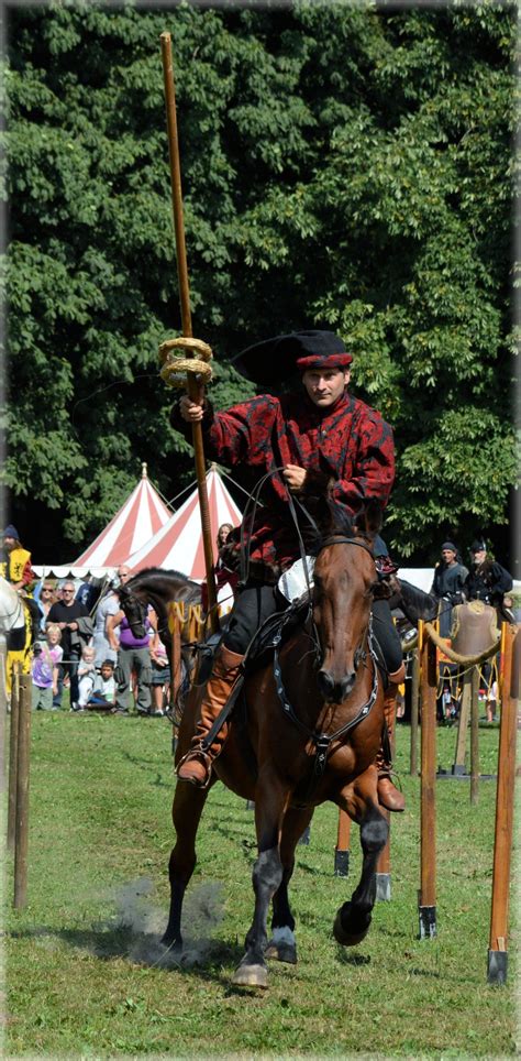 Knight Show Set 412 Free Stock Photo Public Domain Pictures