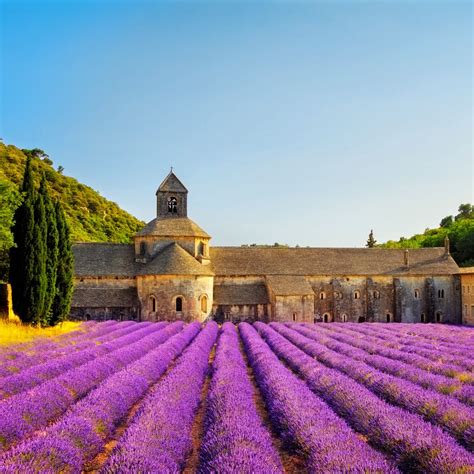 Pin By Pam On Lavender Season Provence Photographic Print Around