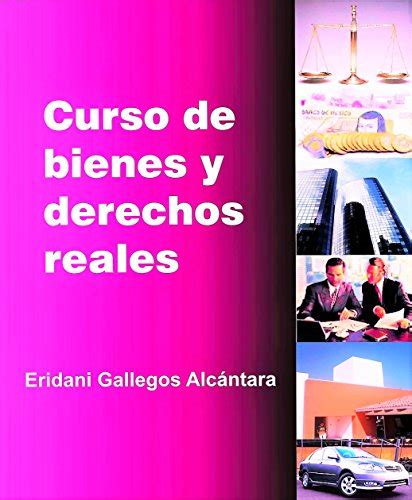 Curso De Bienes Y Derechos Reales Derecho Civil Ebook Gallegos