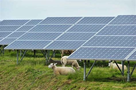 Uk Renewable Energy Generates More Electricity Than Gas And Coal For