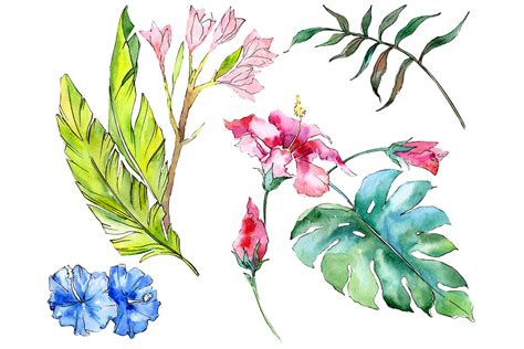 Tropical Plants Watercolor Graphic By Mystocks · Creative Fabrica
