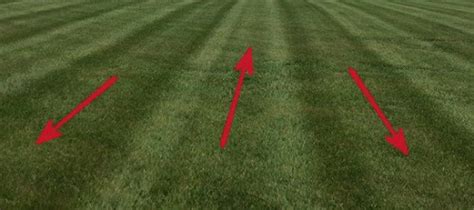 Lawn Striping Tips Mowing Patterns And Equipment Grasshopper Mower