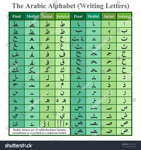 Arabic Alphabet Writing Letters Green 스톡 벡터로열티 프리 372772957 Shutterstock