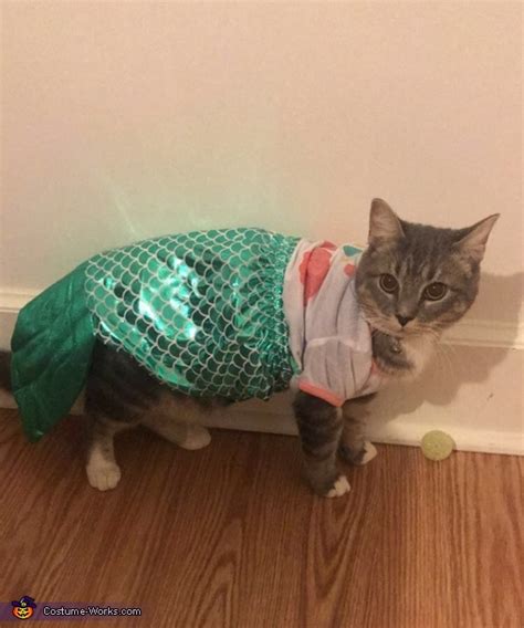 Sassy Mermaid Cat Costume