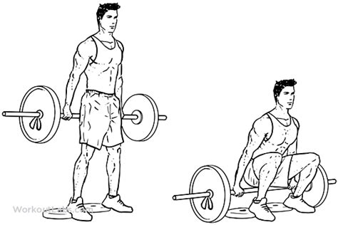 Barbell Hack Squat Illustrated Exercise Guide Workoutlabs