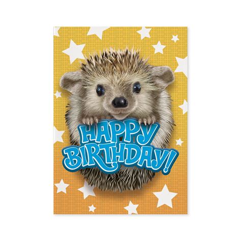 Hedgehog Birthday Card A2z Science And Learning Toy Store