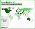 Pakistan Diaspora Distribution Map : r/pakistani