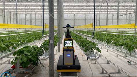 Autonomous Robot Does The Greenhouse Scouting For You Greenhouse Grower