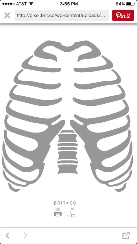 The rib cage consists of 24 ribs, 12 on either side, and it shields the organs of the chest, including the heart and the lungs, from damage. Rib cage template | Stencil art, Templates, Etsy
