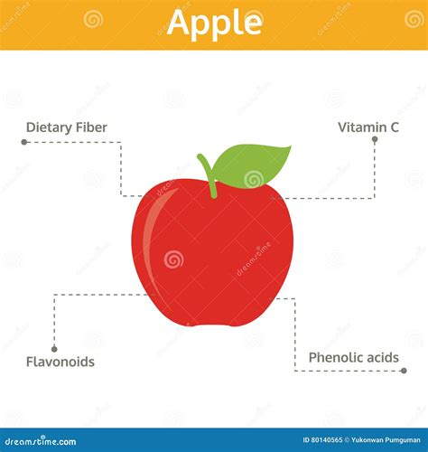 Apple Nutrient Of Facts And Health Benefits Info Graphic Fruit Stock Vector Illustration Of