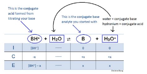 Titration Of A Weak Base With A Strong Acid Chemistry Libretexts