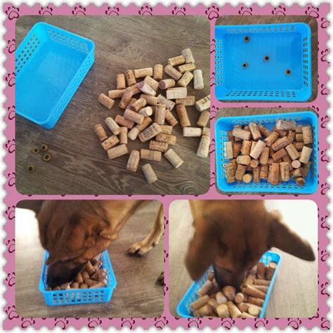 Dec 08, 2020 · smart composite puzzle game dog toy. Pin van Connie Shearing op Dogs | Honden spelletjes, Diy ...