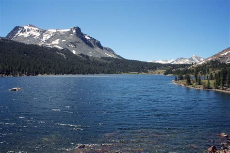 Alpine Lake In Yosemite National Park Chescaislost California