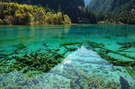 Download China Sichuan Jiuzhaigou Park Nature Lake Hd Wallpaper