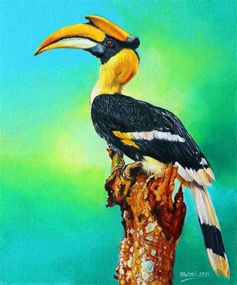 Hornbill By Artist Muralidhar Suvarna Image Painting Mojarto