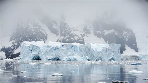 Invasive Species Growing Human Activity Threatens Antarcticas