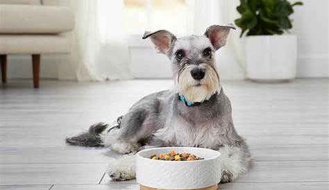 freshpet dog food how much to feed