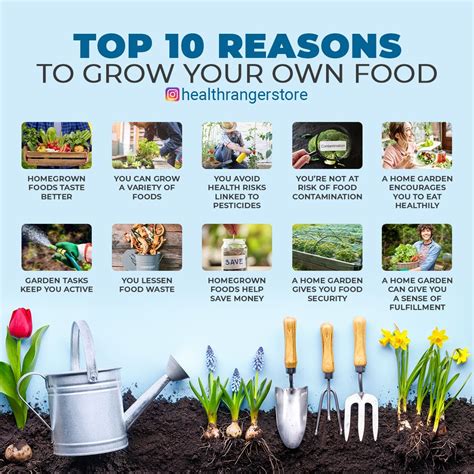 Top 10 Reasons To Grow Your Own Food Grow Your Own Food Food Health Risks