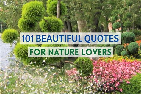 101 Beautiful Quotes For Nature Lovers Wildlifezones
