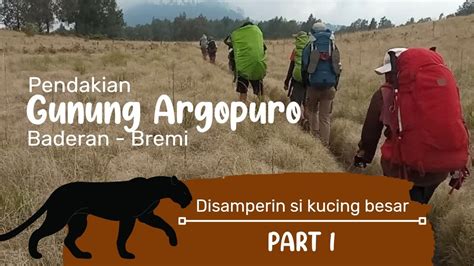 Pendakian Gunung Argopuro Pesona Jalur Terpanjang Pulau Jawa Youtube