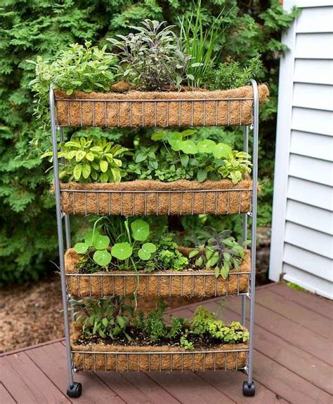 20 Fabulous Backyard Herb Garden Ideas Sweetyhomee
