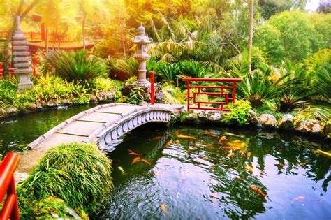Great Ideas For Having A Backyard Pond At Home Storables