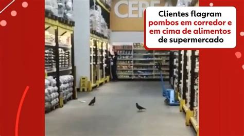 V Deo Pombos Aparecem Voando E Bicando Produtos Em Corredores De