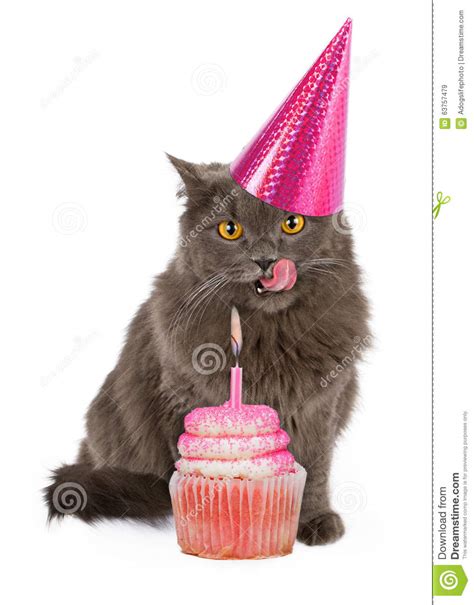 Happy Birthday Cat Clipart 101 Clip Art