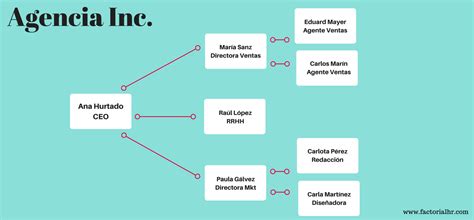 Organigramas Y Sus Funciones Ejemplos Y Plantillas Que Te Ayudarán