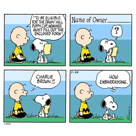 Snoopy Snoopy Fun Comics Comics
