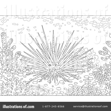 Sea Urchin Clipart 1562183 Illustration By Alex Bannykh