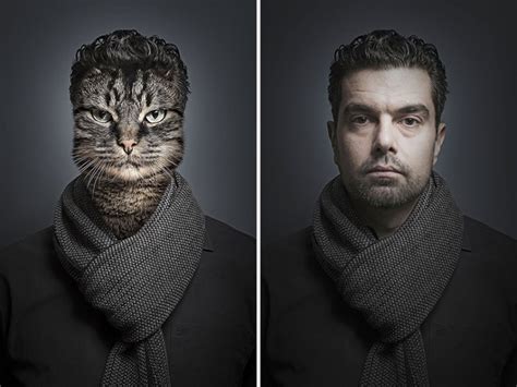 Los Gatos Y Sus Dueños Mirada Familiar Pictolic