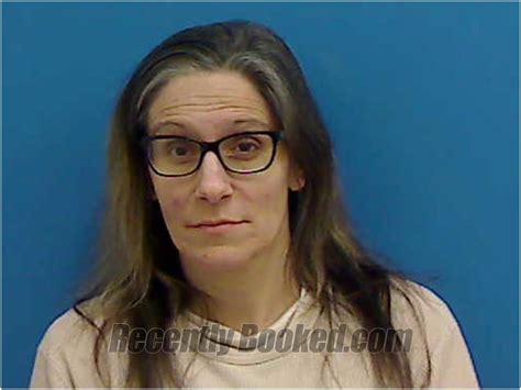 recent booking mugshot for lisa rollins hill in catawba county north carolina