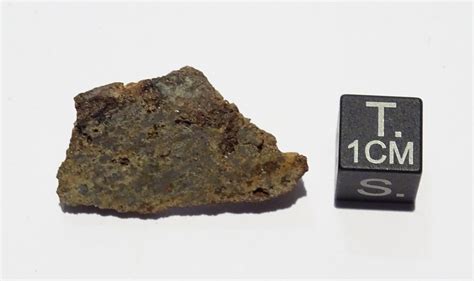 Meteoriti Mesosiderite Northwest Africa 4418 Esemplare