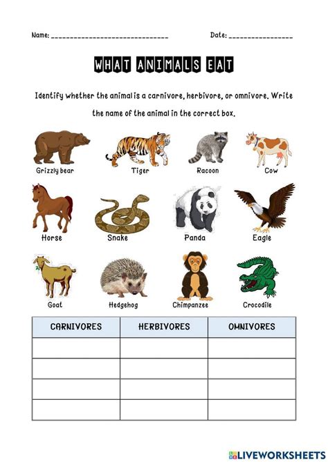 What Animals Eat Worksheet For Year 3 Live Worksheets