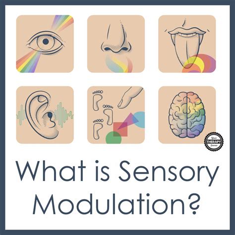Sensory Modulation What Does It Mean Your Therapy Source