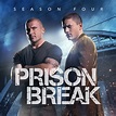Prison Break, Season 4 wiki, synopsis, reviews - Movies Rankings!