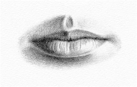How To Draw Realistic Lips Using Pencil Lipstutorial Org