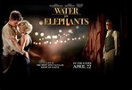 Wasser für die Elefanten: DVD oder Blu-ray leihen - VIDEOBUSTER.de