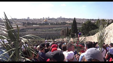 Palm Sunday In Jerusalem Jerusalem Experience By Video Tours