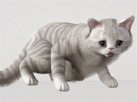 My Sims 3 Blog A Cute Cat By Yyyyyyyyyyyyyyyyyy