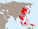 Empire of Japan at its greatest extent, 1942 - Vivid Maps