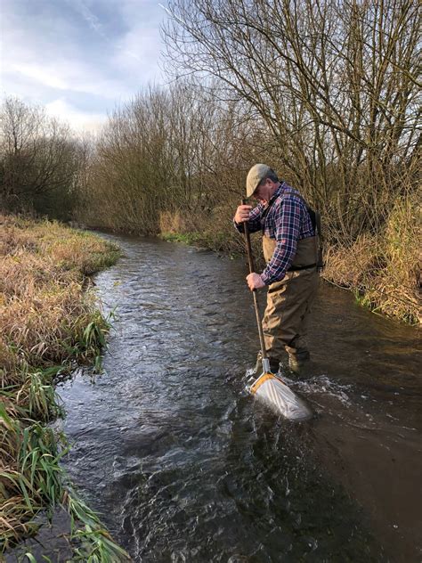 The Chilterns Hertforshire And Middlesex Riverfly Hub Chalk Streams