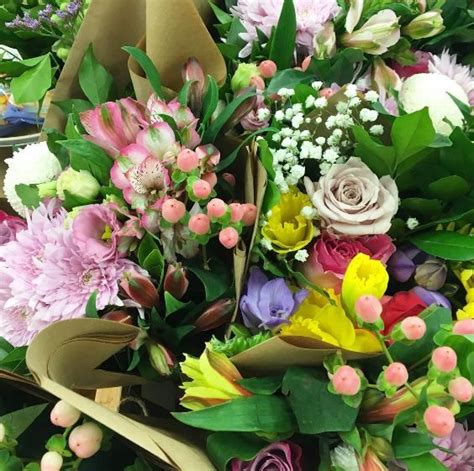 We shall cheap flowers delivered wrap the bouquet in colorful tissue to compliment with a cute satin bow. The Posy Co provides Cheap Flowers Sunshine Coast, $30 ...
