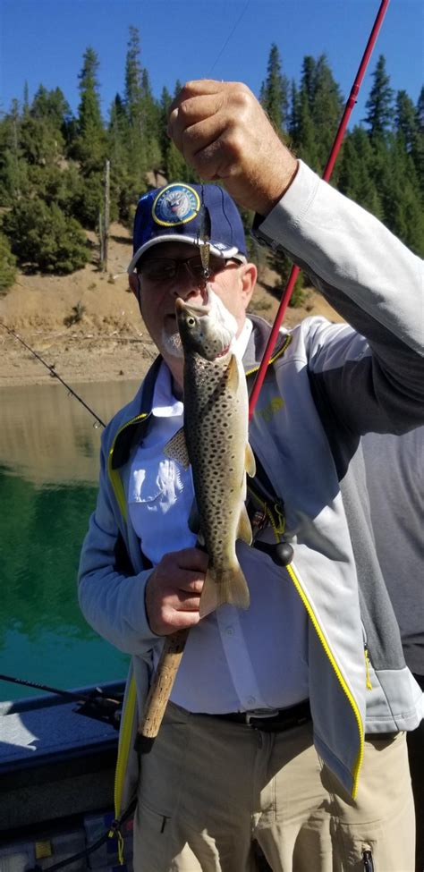 Fishing Mccloud Trout Continues To Be Red Hot