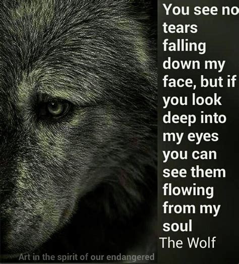 742 Best Wolf Sayings And Wolf Wisdom En Wolves Quotes Images On