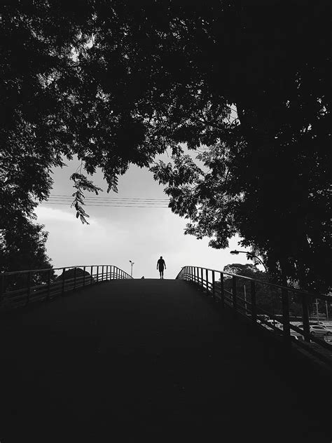 Silhouette Trees Bw Walk Lonely Loneliness Hd Phone Wallpaper