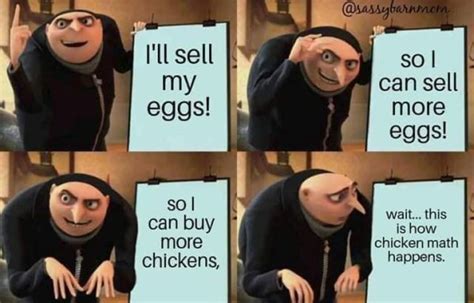How Chicken Math Happens Bitchin Chickens